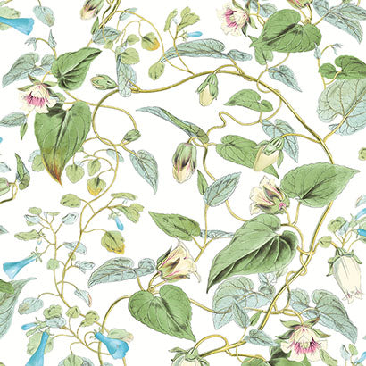 York Moon Flower White Wallpaper BL1711