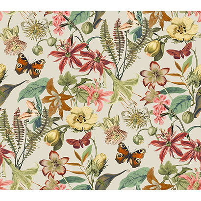 York Butterfly House Light Taupe & Coral Wallpaper BL1724