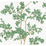 York Lunaria Silhouette White & Green Wallpaper BL1801