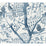 York Peacock Block Print Blue Wallpaper BO6634