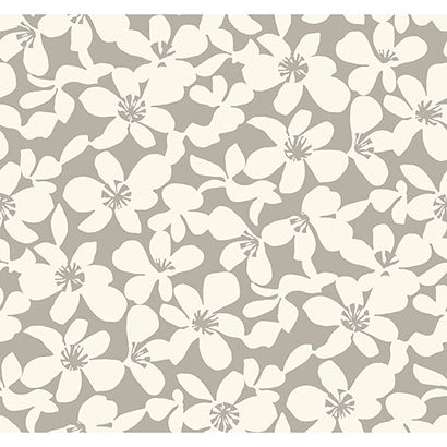 York Free Spirit Brown Wallpaper BO6681