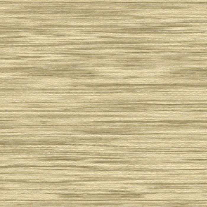 Seabrook Designs Grasslands Sandy Shores Wallpaper Sample BV30103