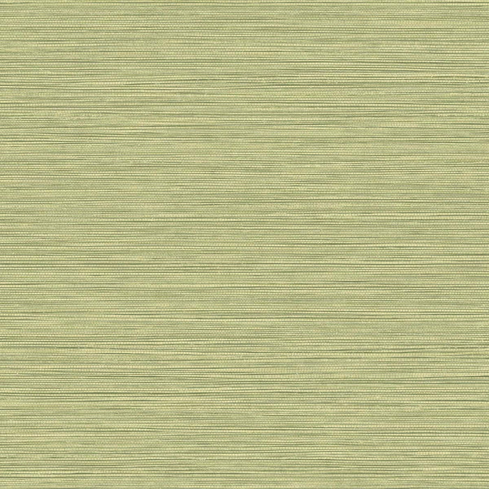 Seabrook Designs Grasslands Lime Moss  Wallpaper Sample BV30104