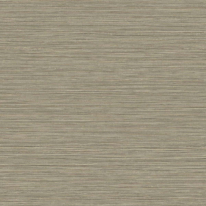 Seabrook Designs Grasslands Warm Stone Wallpaper Sample BV30106