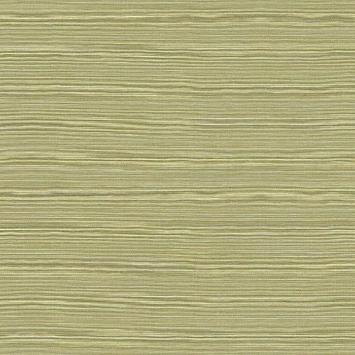 Seabrook Designs Coastal Hemp Lime Moss  Wallpaper Sample BV30424