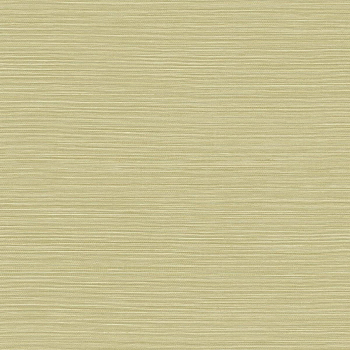 Seabrook Designs Coastal Hemp Aloe  Wallpaper Sample BV30454