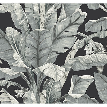 York Banana Leaf Black & White Wallpaper BW3971