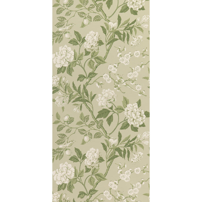 GP & J Baker Emperor'S Garden Soft Green Wallpaper Sample BW45000.10.0