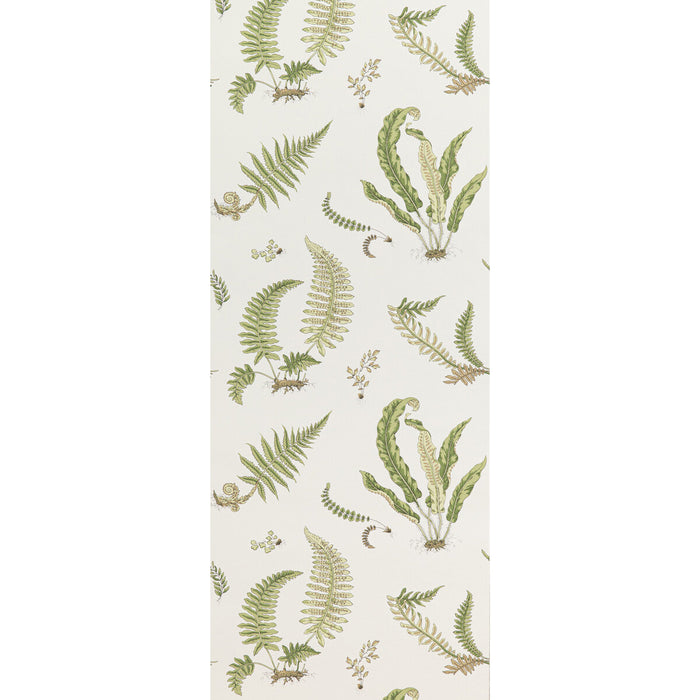 GP & J Baker Ferns Leaf Wallpaper Sample BW45044.10.0