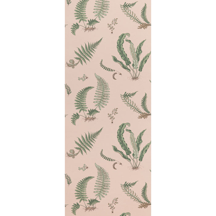 GP & J Baker Ferns Blush Wallpaper Sample BW45044.11.0