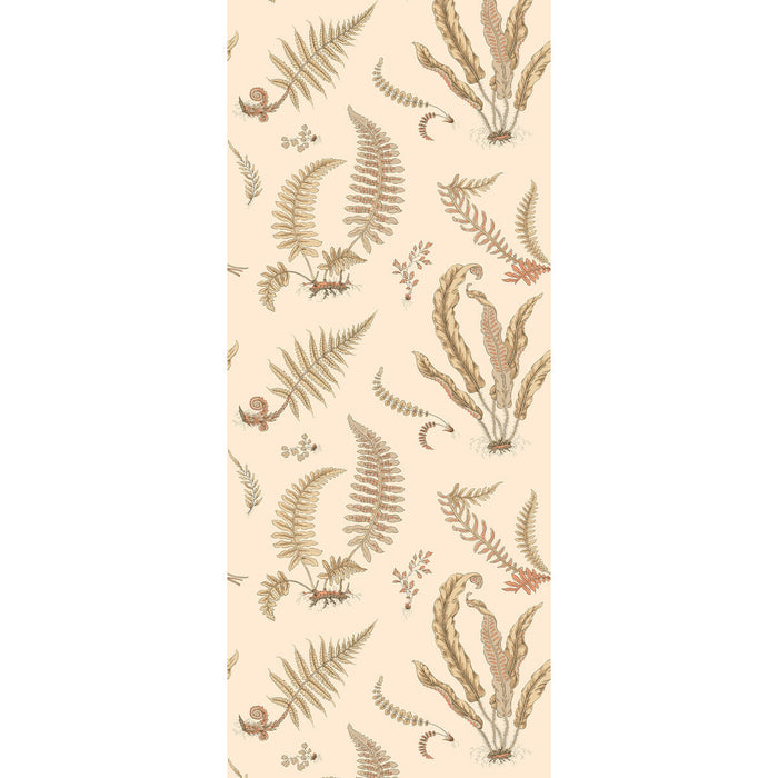 GP & J Baker Ferns Parchment Wallpaper Sample BW45122.2.0