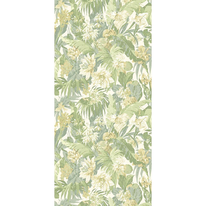 GP & J Baker Tropical Floral Soft Green Wallpaper Sample BW45132.4.0