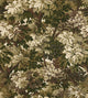 Old World Weavers Ridge Edge Moss Fabric BZ 0036060C