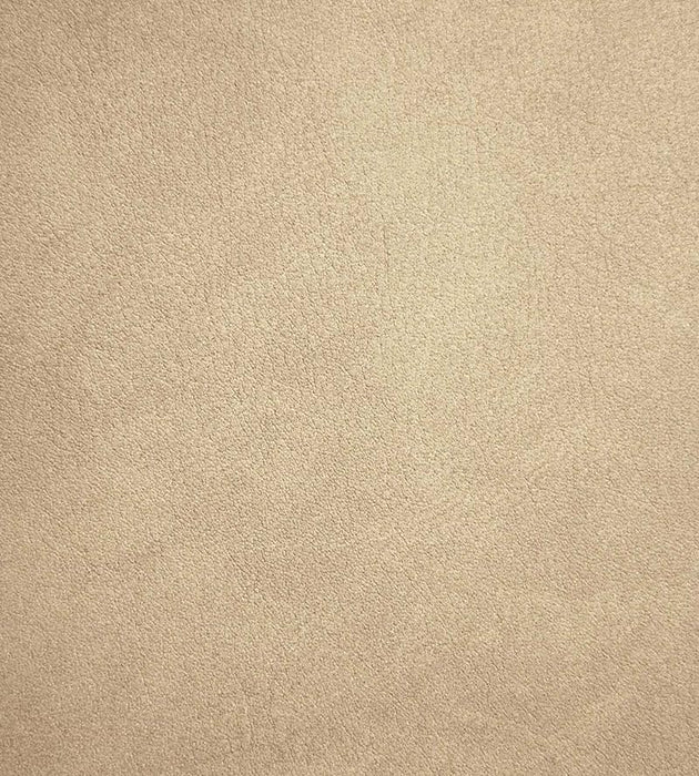 Old World Weavers Palma Mastic Fabric Sample CA 00735130