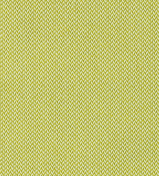 Christian Fischbacher Sonnen-Klar Green Apple Fabric Sample CH 01034431