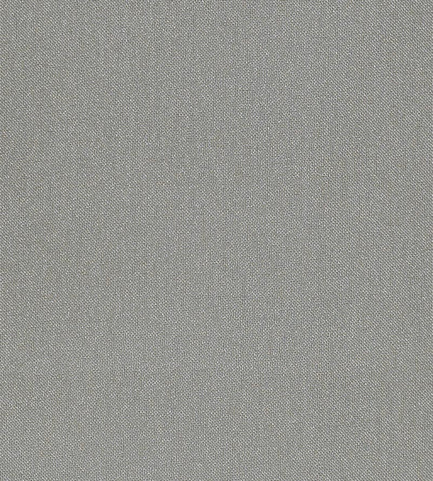 Christian Fischbacher Aramena Steel Fabric Sample CH 01054270