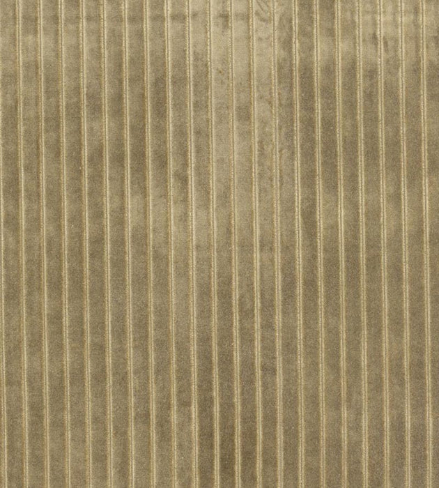 Christian Fischbacher Velvet Stripe Khaki Fabric Sample CH 01074481