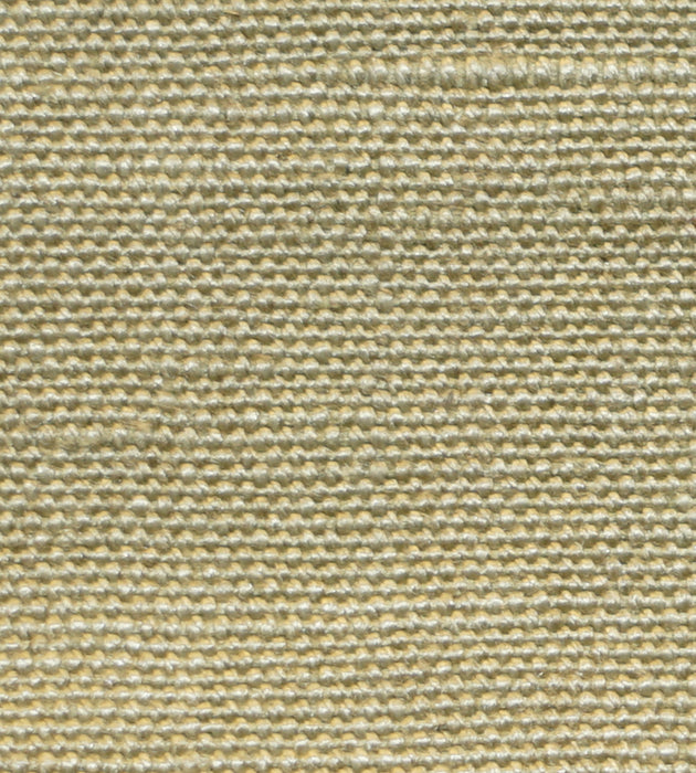 Christian Fischbacher Focus Bayleaf Fabric Sample CH 01143410