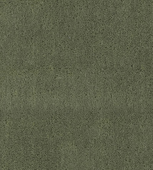 Christian Fischbacher Apollodor Sage Fabric Sample CH 01144300