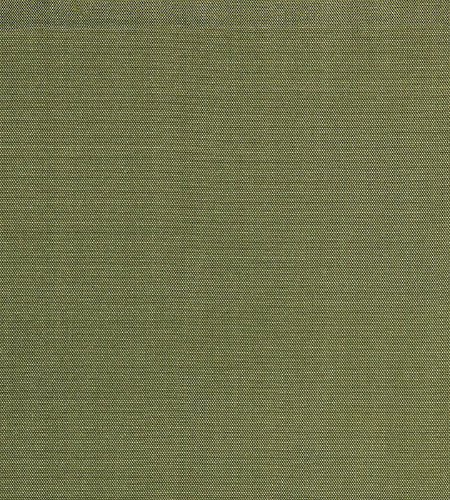 Christian Fischbacher Siam Split Pea Fabric CH 01144400