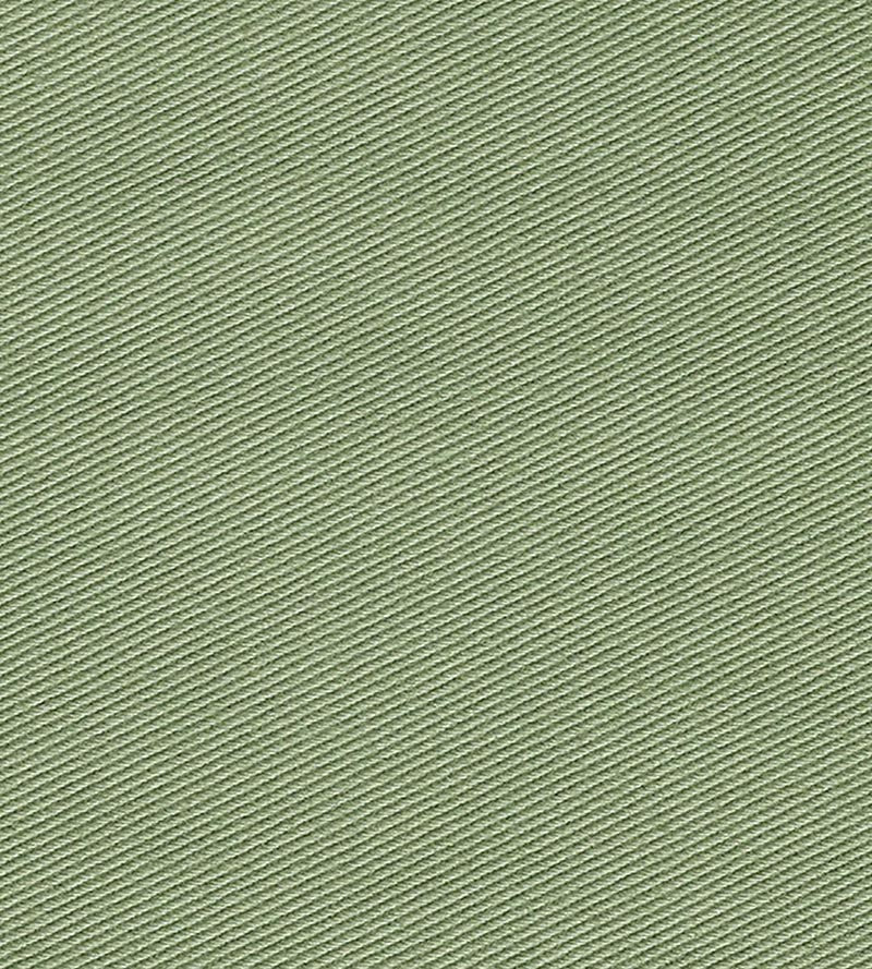 Christian Fischbacher Kay Ii Asparagus Fabric CH 01144450