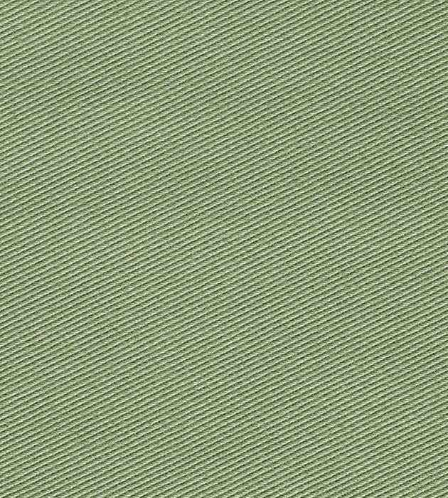 Christian Fischbacher Kay Ii Asparagus Fabric CH 01144450