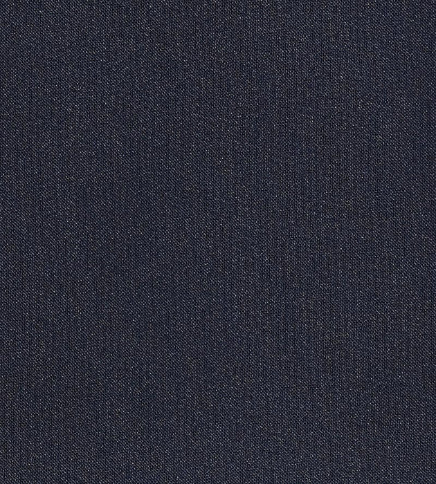 Christian Fischbacher Aramena Navy Fabric CH 01214270