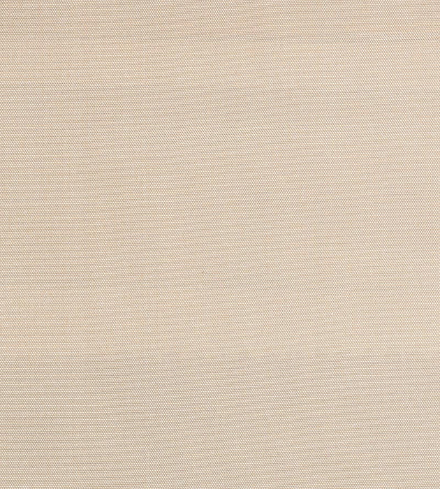 Christian Fischbacher Siam Eggnog Fabric Sample CH 01374400