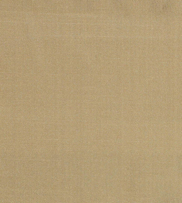 Christian Fischbacher Siam Toast Fabric CH 01574400