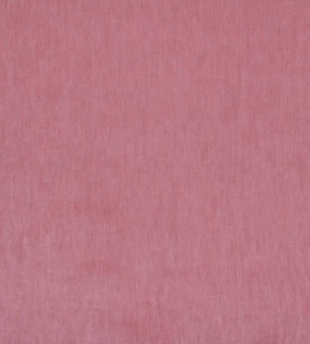 Christian Fischbacher Ventura Velour Orchid Fabric Sample CH 06121454