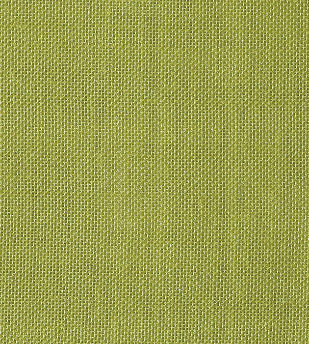 Christian Fischbacher Alsara Kiwi Fabric CH 06144176