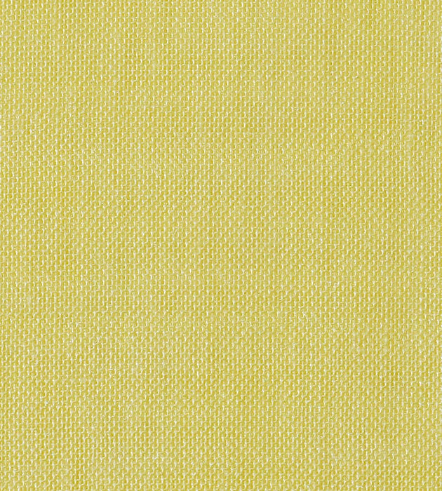 Christian Fischbacher Alsara Canary Fabric Sample CH 06234176