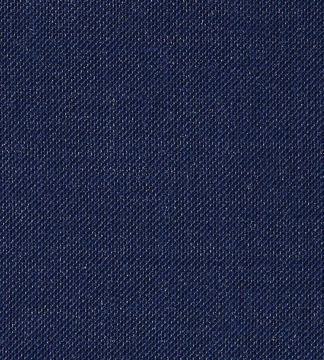 Christian Fischbacher Alsara Cadet Fabric Sample CH 06314176