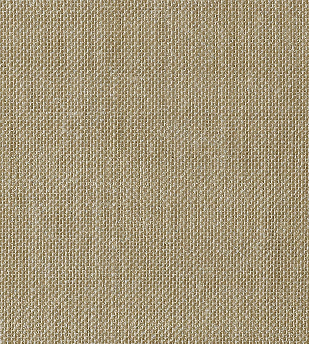 Christian Fischbacher Alsara Birch Fabric Sample CH 06674176