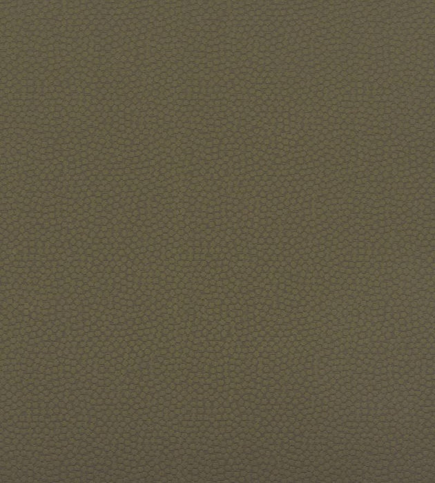 Christian Fischbacher Sterling Olive Fabric CH 07044477