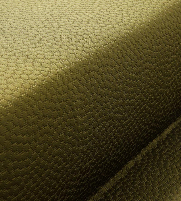 Christian Fischbacher Sterling Olive Fabric Sample CH 07044477