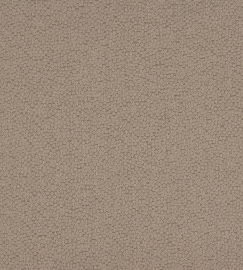 Christian Fischbacher Sterling Truffle Fabric Sample CH 07074477