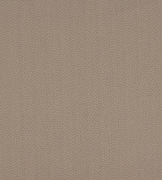 Christian Fischbacher Sterling Truffle Fabric Sample CH 07074477