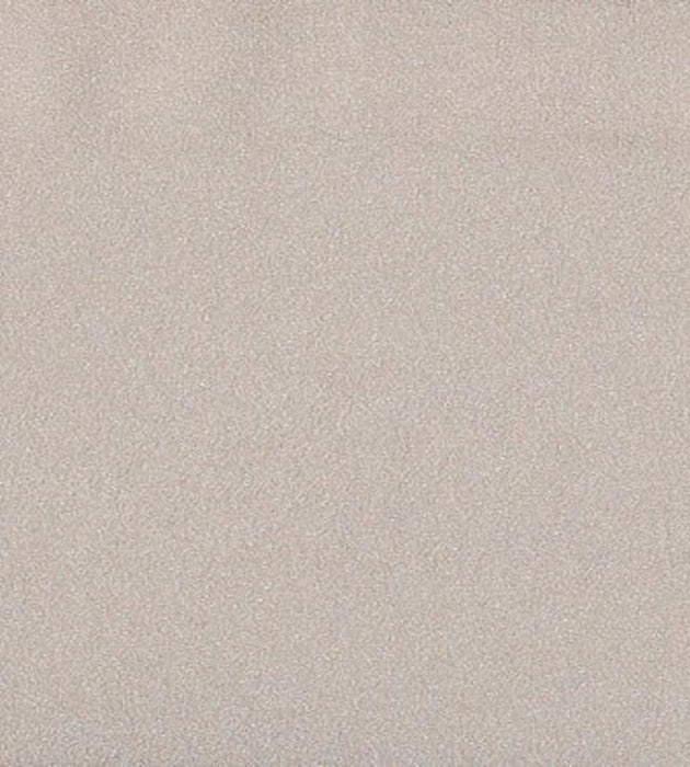 Christian Fischbacher Georgette Almond Fabric Sample CH 09072519