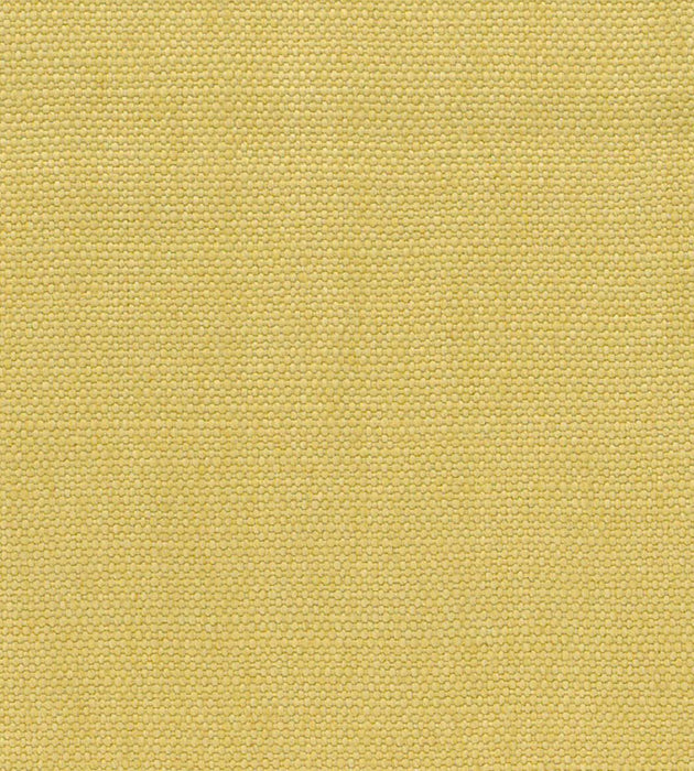 Christian Fischbacher Focus Cornsilk Fabric Sample CH 01133410