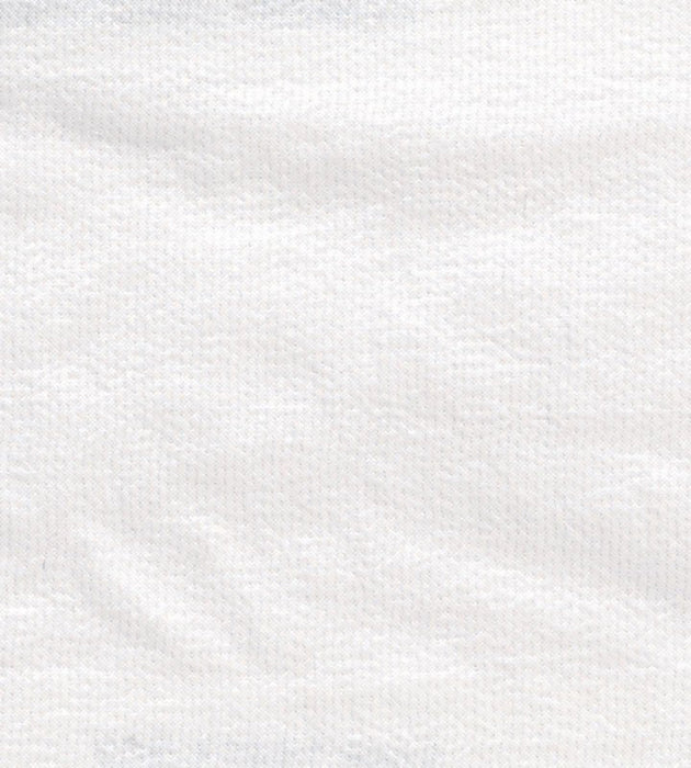 Christian Fischbacher Luce Vanilla Cream Fabric Sample CH 03074413