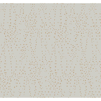 York Star Struck Grey & Gold Wallpaper CI2354