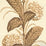 Quadrille Climbing Hydrangea Taupe Wallpaper 303300WP