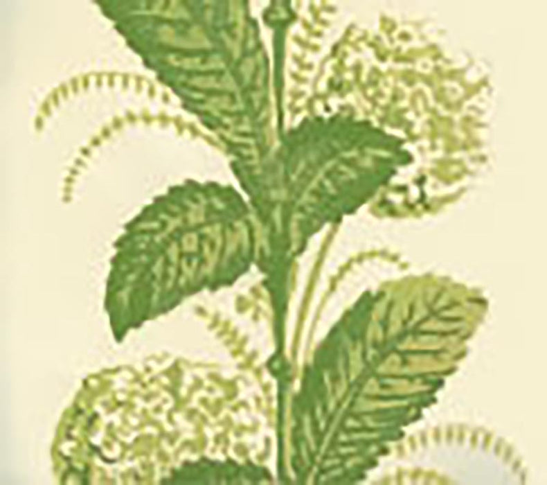 Quadrille Climbing Hydrangea Lime Wallpaper Sample 303305WP