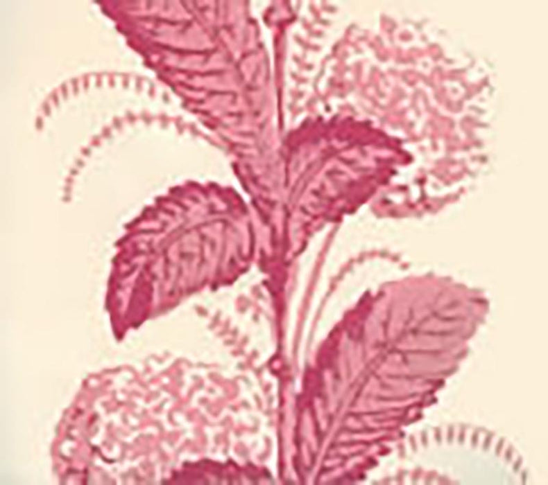 Quadrille Climbing Hydrangea Pink Wallpaper Sample 303306WP