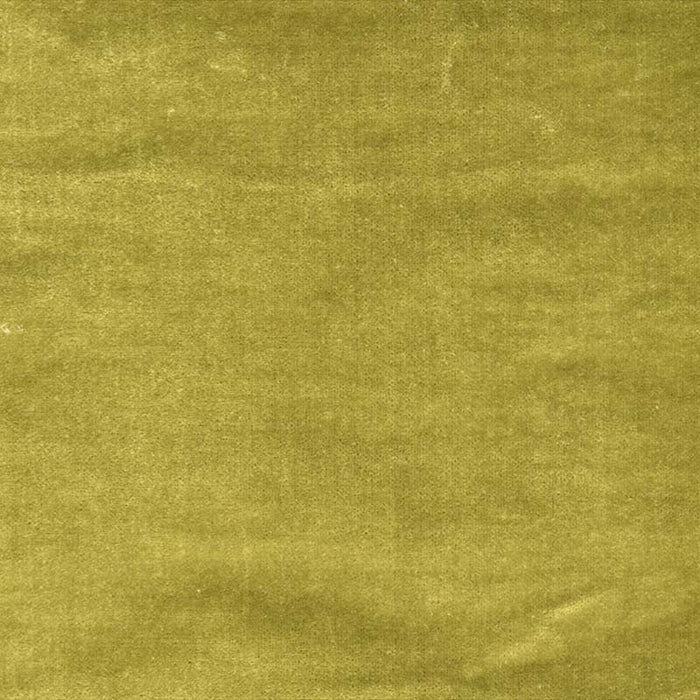 Colony Pisanello Green Bamboo Fabric Sample CL 000130217