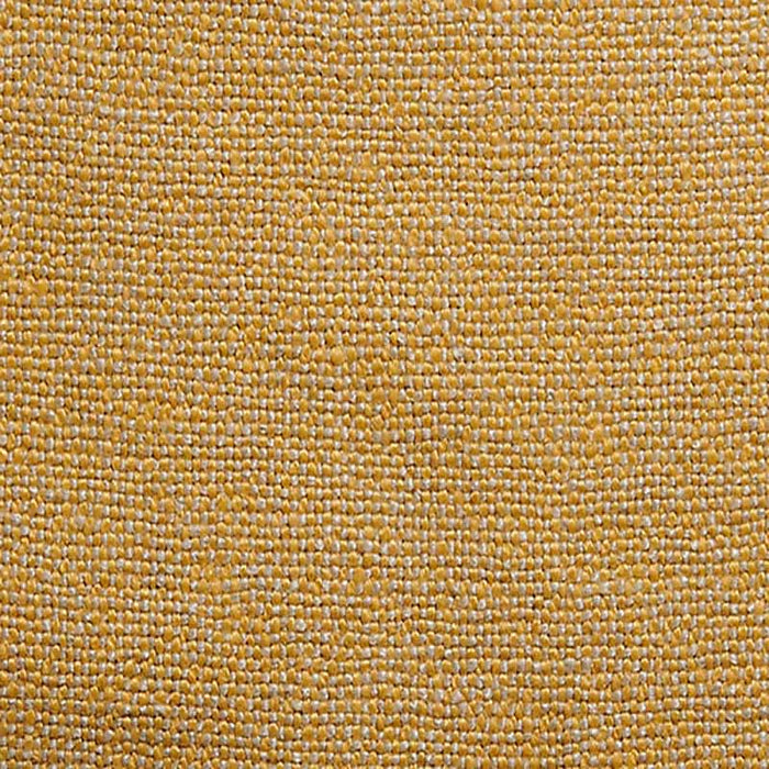 Colony Linera Oro Fabric Sample CL 000336445