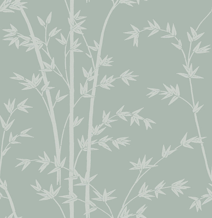 Colony Bamboo Nebbia Wallpaper Sample CL 0003WP26731