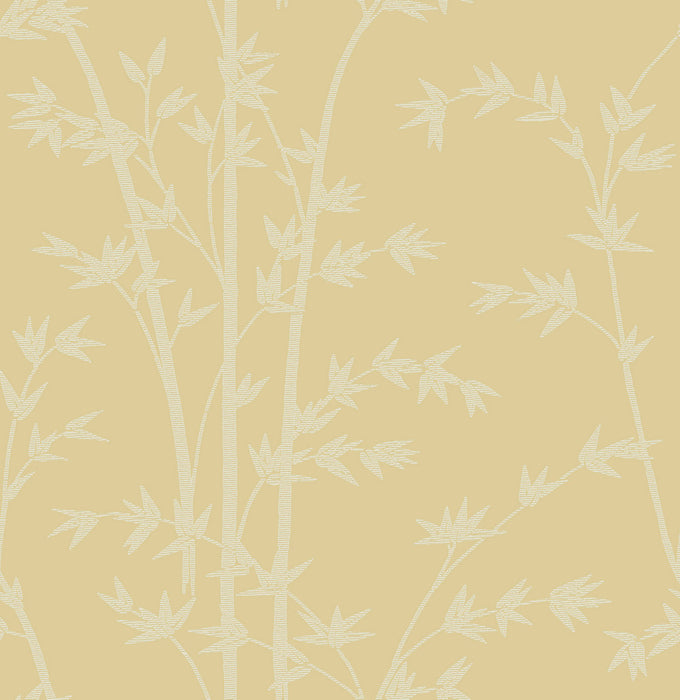 Colony Bamboo Giallo Wallpaper Sample CL 0005WP26731