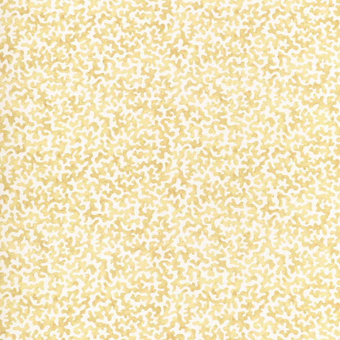 Kravet Basics Coralcoast Cornsilk Fabric CORALCOAST.14.0